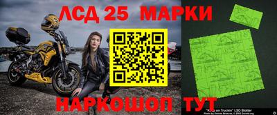 шишки Кимры