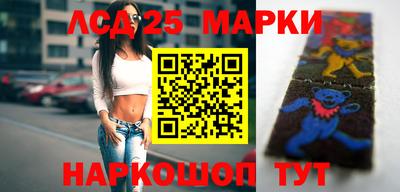 шишки Кимры