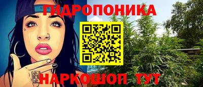 шишки Кимры