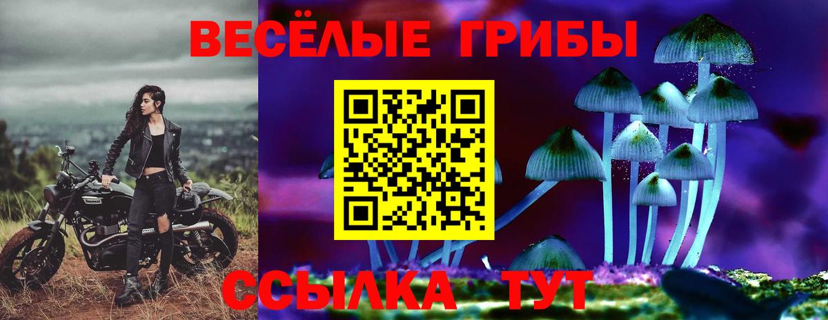 Псилоцибиновые грибы MAGIC MUSHROOMS Комсомольск-на-Амуре